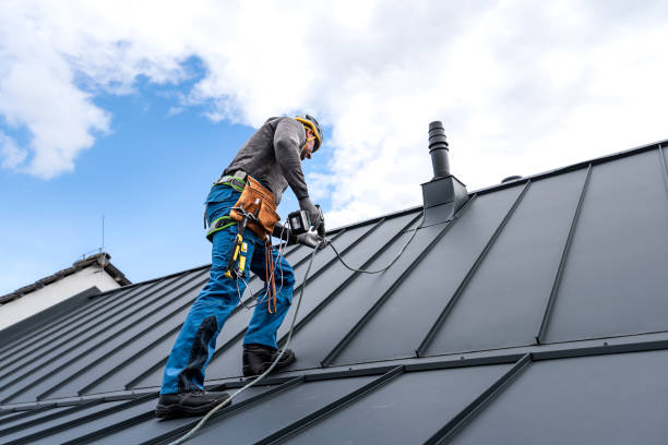 Best Roof Moss and Algae Removal  in Pukalani, HI